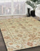 Abstract Brown Modern Rug in Family Room, abs1745