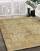 Machine Washable Abstract Cinnamon Brown Rug in a Family Room, wshabs1746