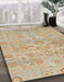 Machine Washable Abstract Brown Rug in a Family Room, wshabs1748