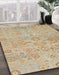 Abstract Brown Oriental Rug in Family Room, abs1748