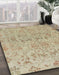 Abstract Orange Brown Oriental Rug in Family Room, abs1749