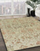 Machine Washable Abstract Orange Brown Rug in a Family Room, wshabs1749