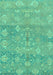 Oriental Turquoise Traditional Rug, abs1750turq