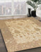 Abstract Bronze Brown Oriental Rug in Family Room, abs1751