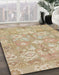 Machine Washable Abstract Brown Rug in a Family Room, wshabs1752