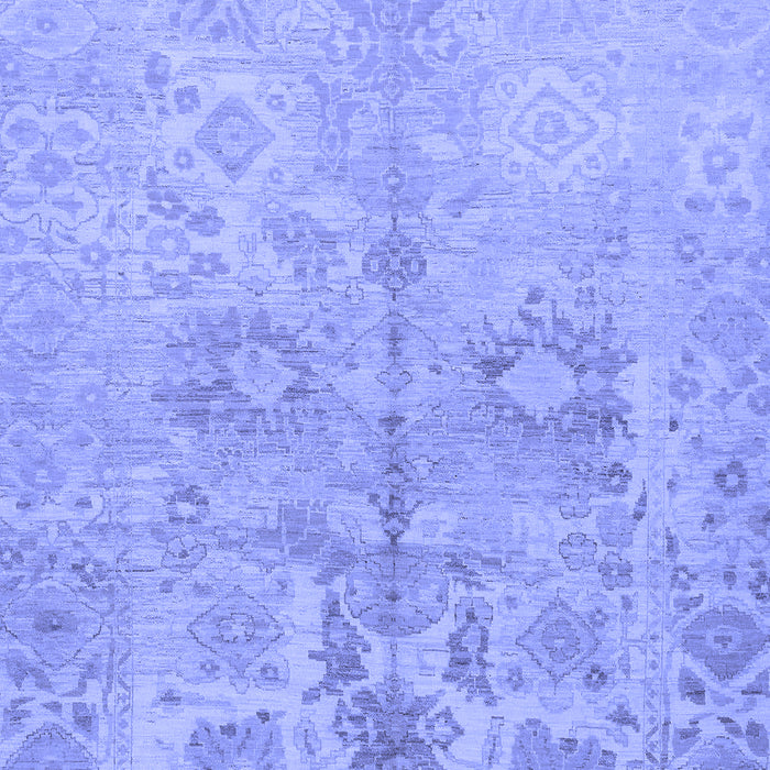 Oriental Blue Traditional Rug, abs1753blu