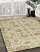 Abstract Brown Modern Rug in Family Room, abs1754