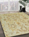 Machine Washable Abstract Metallic Gold Rug in a Family Room, wshabs1755