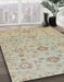 Abstract Camel Brown Oriental Rug in Family Room, abs1756