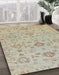Machine Washable Abstract Camel Brown Rug in a Family Room, wshabs1756