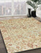 Abstract Brown Oriental Rug in Family Room, abs1757