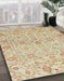 Machine Washable Abstract Brown Rug in a Family Room, wshabs1757
