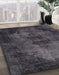 Machine Washable Abstract Grey Gray Rug in a Family Room, wshabs1760