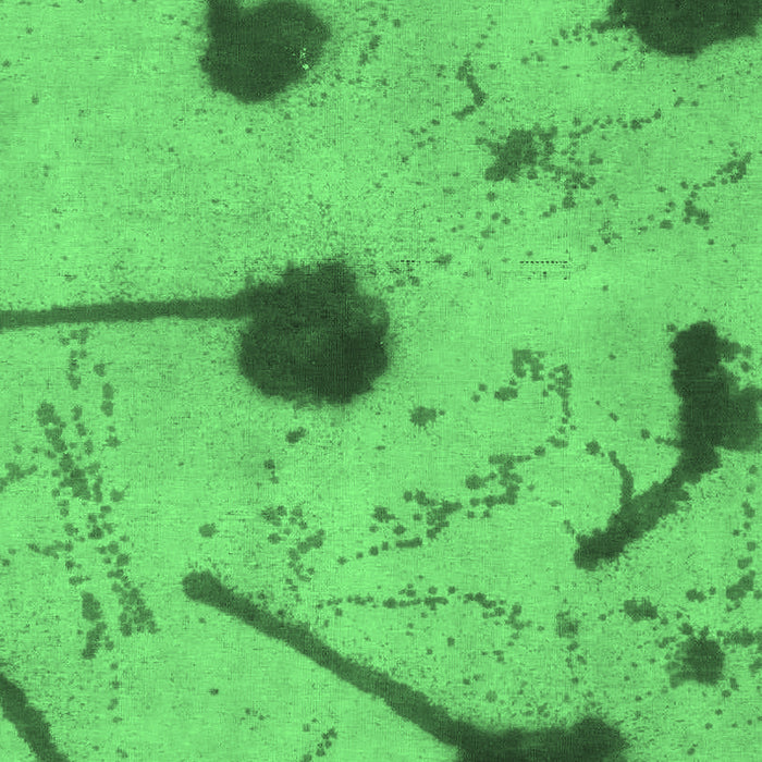 Abstract Emerald Green Modern Rug, abs1772emgrn