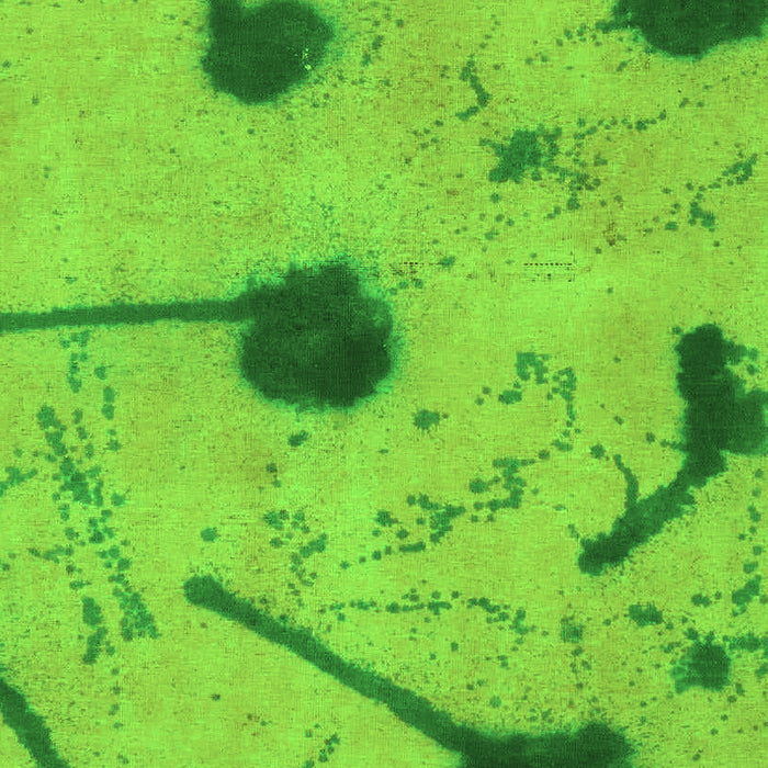 Machine Washable Abstract Green Modern Area Rugs, wshabs1772grn