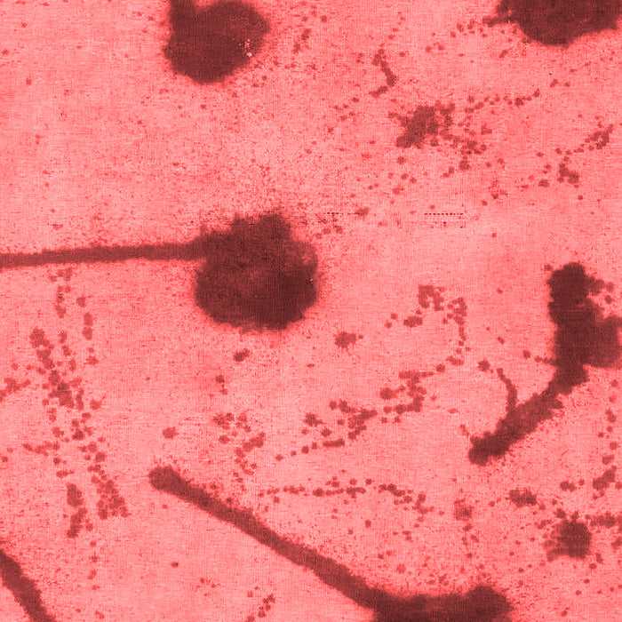 Machine Washable Abstract Red Modern Rug, wshabs1772red