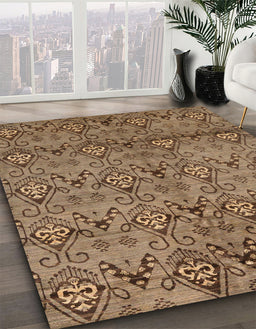 Machine Washable Abstract Saddle Brown Rug in a Family Room, wshabs177