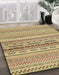 Machine Washable Abstract Light Brown Rug in a Family Room, wshabs1787