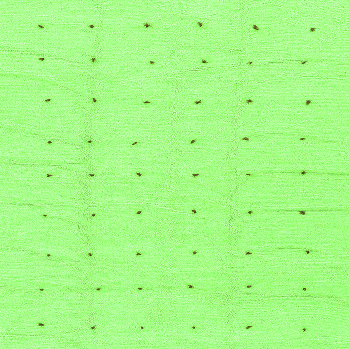 Square Machine Washable Solid Green Modern Area Rugs, wshabs1803grn