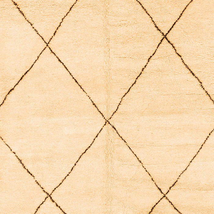 Oriental Orange Modern Rug, abs1815org