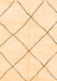 Oriental Orange Modern Rug, abs1817org