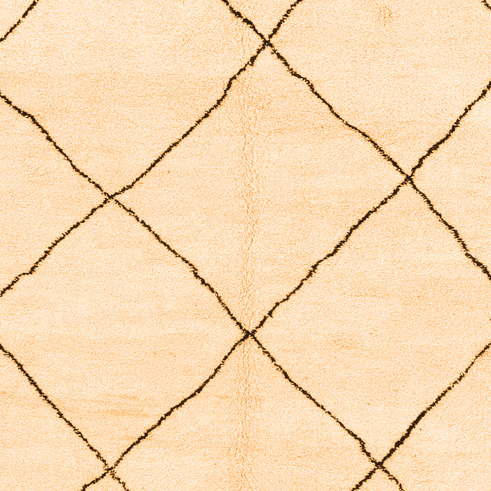 Machine Washable Oriental Orange Modern Area Rugs, wshabs1817org