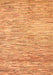 Machine Washable Oriental Orange Modern Area Rugs, wshabs1839org