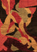 Oriental Orange Modern Rug, abs1843org