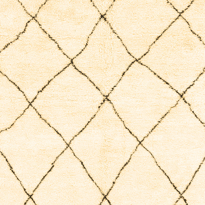Machine Washable Solid Brown Modern Rug, wshabs1848brn
