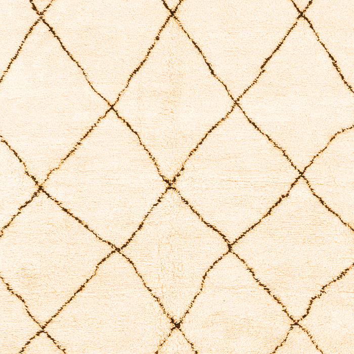 Solid Orange Modern Rug, abs1848org