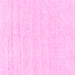 Square Solid Pink Modern Rug, abs1851pnk