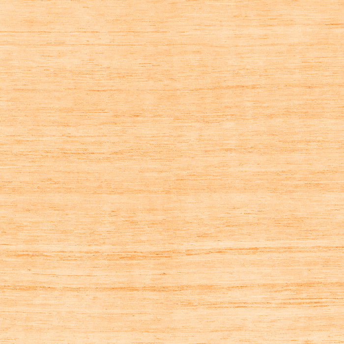 Square Machine Washable Solid Orange Modern Area Rugs, wshabs1851org