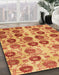 Machine Washable Abstract Fire Red Rug in a Family Room, wshabs1854