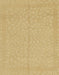 Machine Washable Abstract Gold Rug, wshabs1862