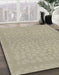 Machine Washable Abstract Sand Brown Rug in a Family Room, wshabs1878