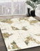 Machine Washable Abstract Champagne Beige Rug in a Family Room, wshabs1913