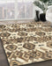 Abstract Brown Modern Rug in Family Room, abs1925