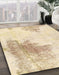 Machine Washable Abstract Brown Sugar Brown Rug in a Family Room, wshabs1934