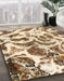 Machine Washable Abstract Light Brown Rug in a Family Room, wshabs1948