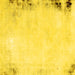 Square Solid Yellow Modern Rug, abs1975yw