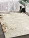 Machine Washable Abstract Tan Brown Rug in a Family Room, wshabs1975