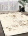 Machine Washable Abstract Blanched Almond Beige Rug in a Family Room, wshabs1997