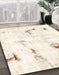 Machine Washable Abstract Whip Beige Rug in a Family Room, wshabs2085