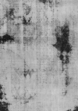 Persian Gray Bohemian Rug, abs2096gry