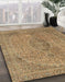 Abstract Light Brown Modern Rug in Family Room, abs2110