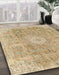 Machine Washable Abstract Bronze Brown Rug in a Family Room, wshabs2112