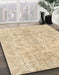 Machine Washable Abstract Brown Gold Rug in a Family Room, wshabs2113