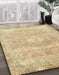 Machine Washable Abstract Brown Gold Rug in a Family Room, wshabs2114