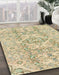 Abstract Copper Green Modern Rug in Family Room, abs2127