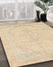 Abstract Khaki Gold Modern Rug in Family Room, abs2135